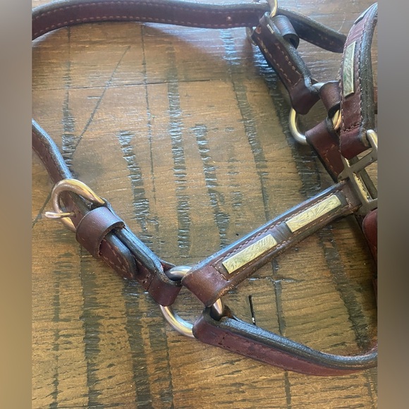 Vintage horse show halter (leather with sterling silver accents). Weanling size - Picture 5 of 12